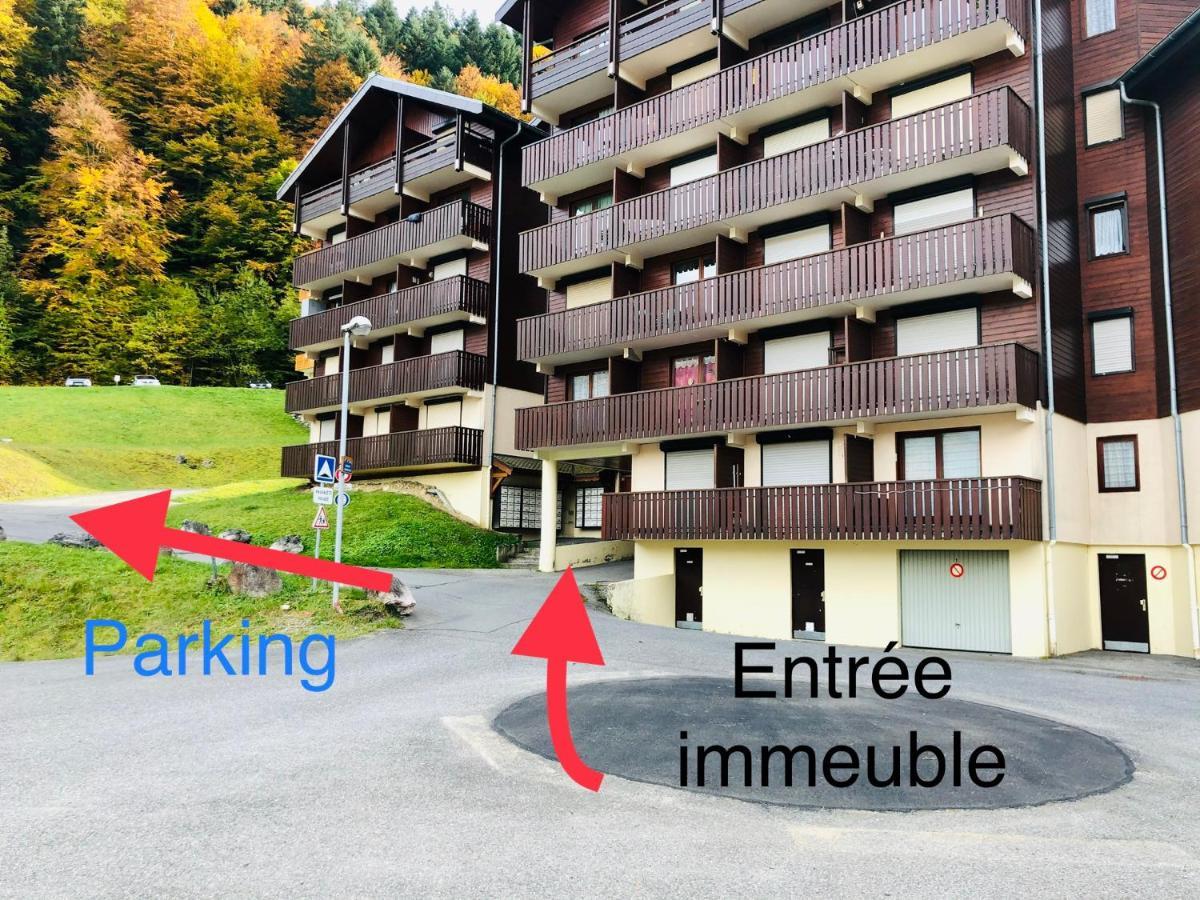 Studio 4 Personnes A 80M Des Pistes De Ski Saint-Jean-dʼAulps Екстериор снимка